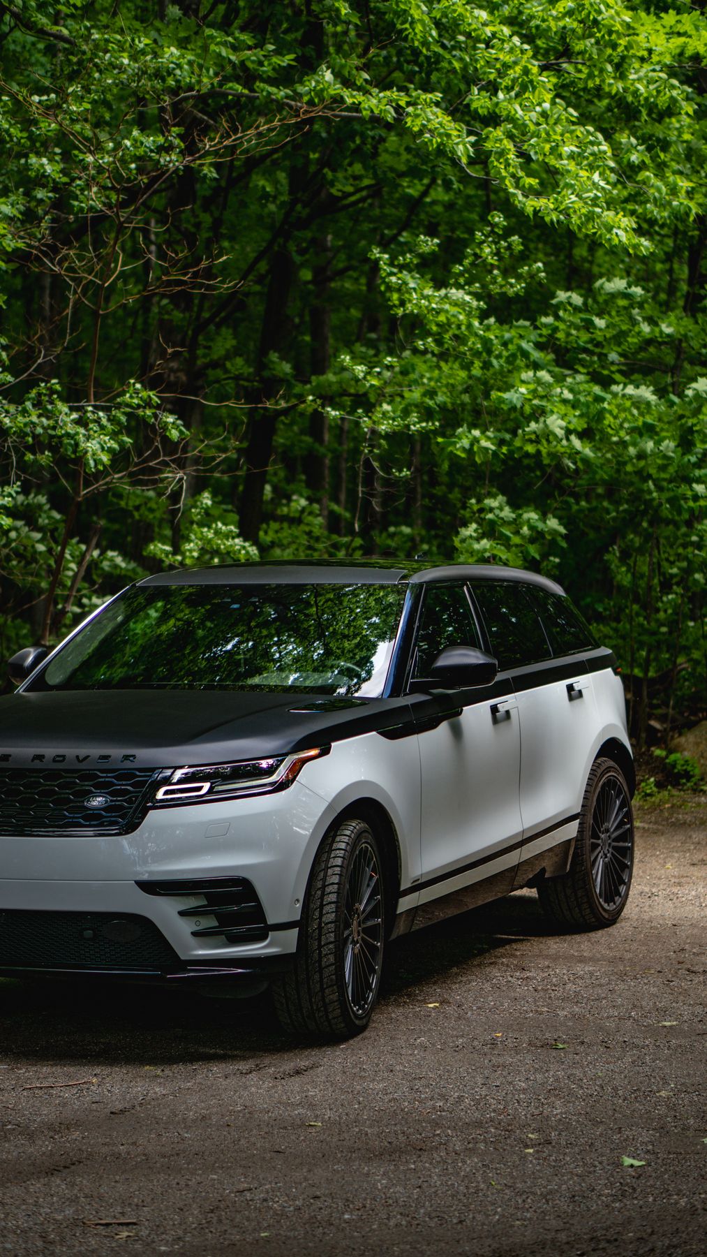 White Velar with a satin black hood and roof in the woods